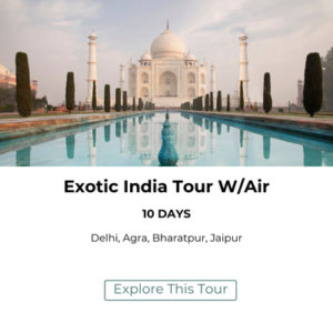 Tour to India by Explore India Journeys 